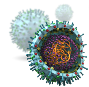corona virus afbeelding